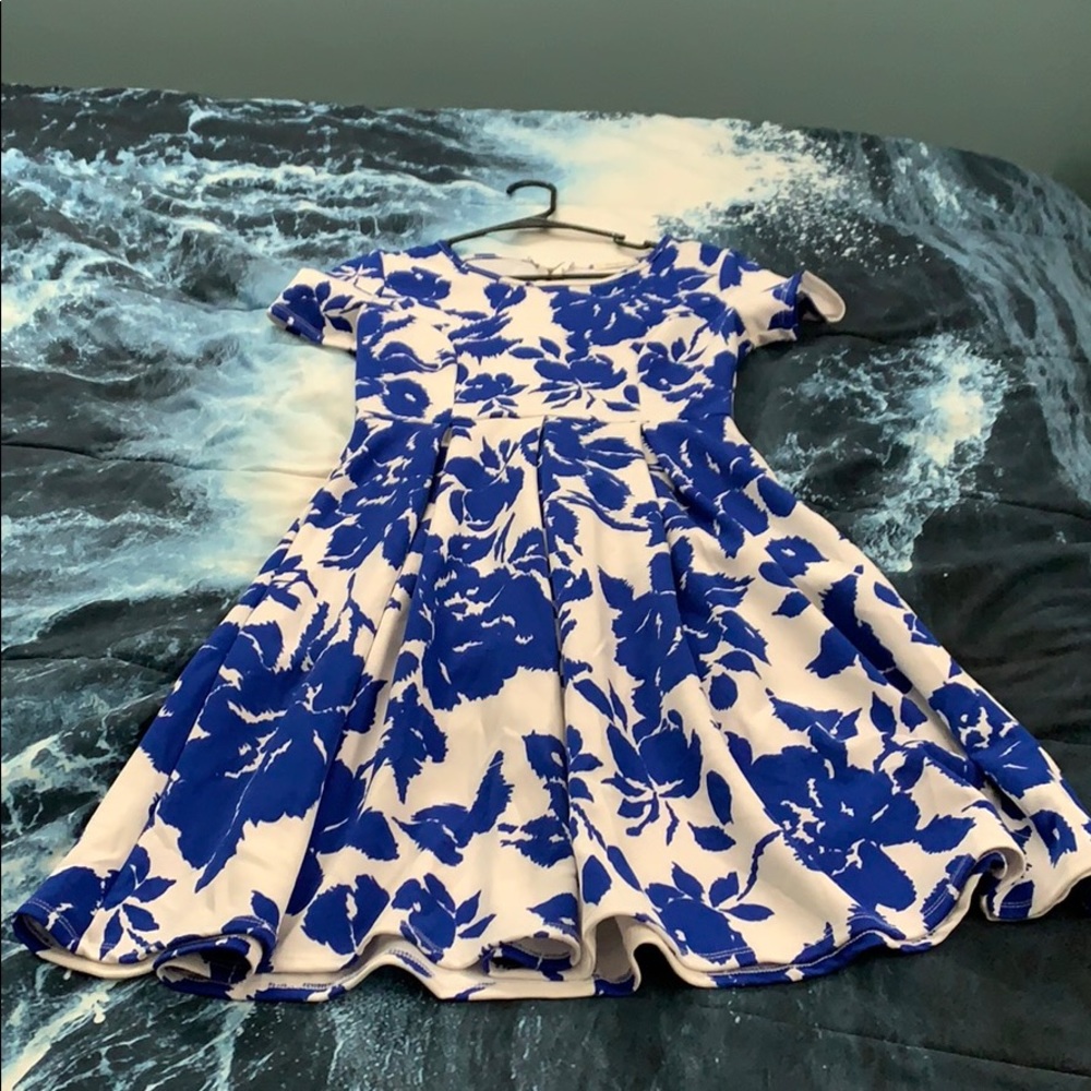 Blue and white floral dress